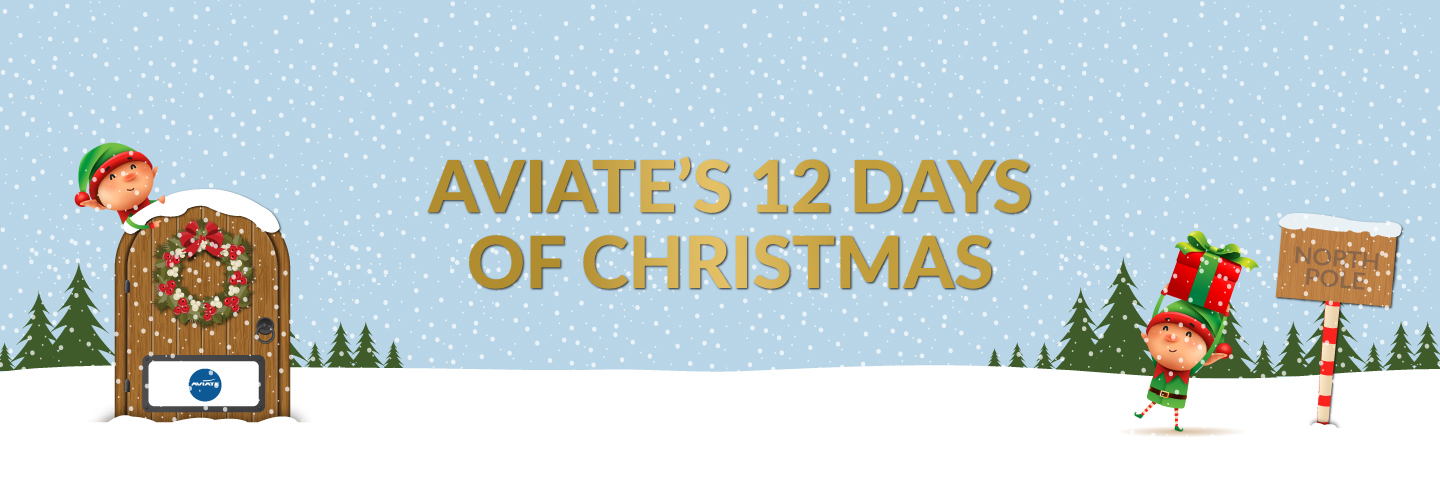 Aviate's 12 Days of Christmas