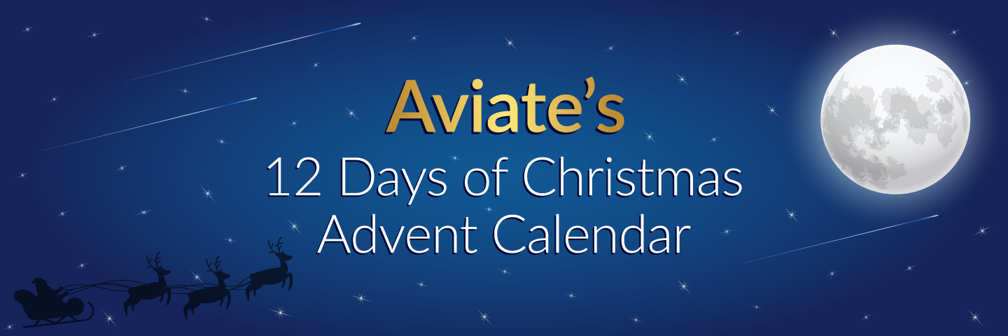Image for Aviate's 12 Days of Christmas